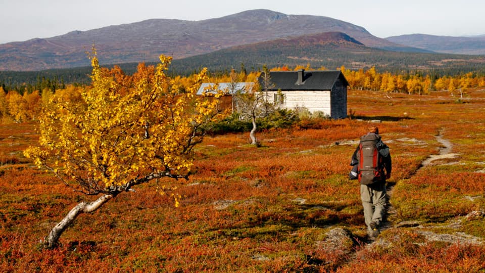 Höst i fjällen