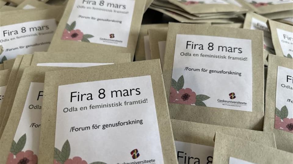 Flera bruna frö påsar