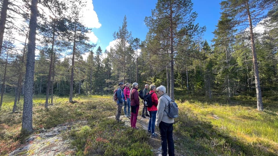 Tillgängliga naturmiljöer
