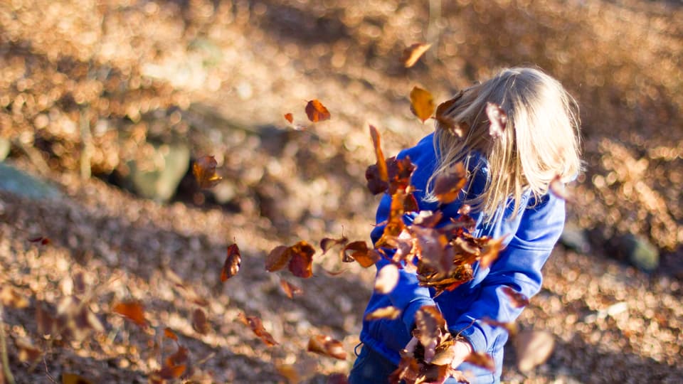A child that is playing with leafs in the fall
