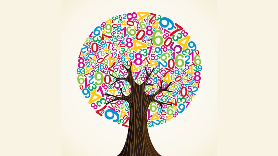 Illustration: tree with numbers as leaves