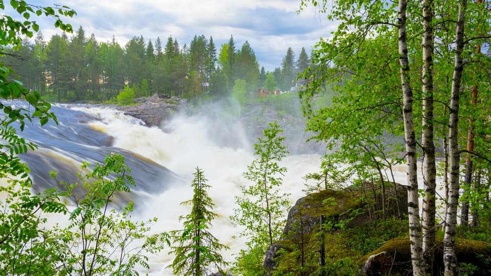 Vattenfall, skummande vatten och björkar