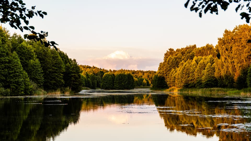 Lugn flod omgiven av gröna skogar i solnedgångens sken.