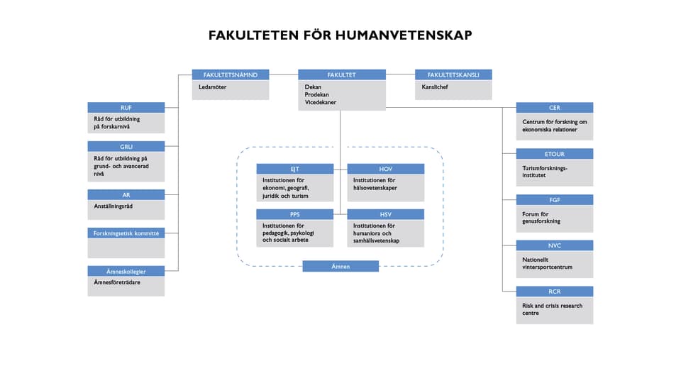 Illustration över fakultetens nämnd, råd, institutioner och forskningscentrum/forum.