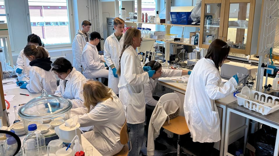 ungdomar i vita rockar i ett kemilabb