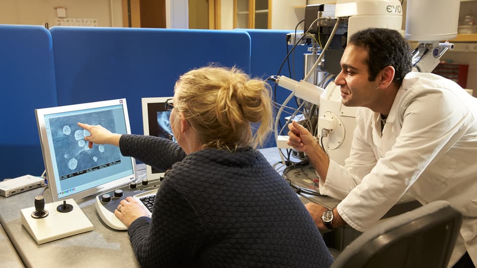 FSCN laboratories
