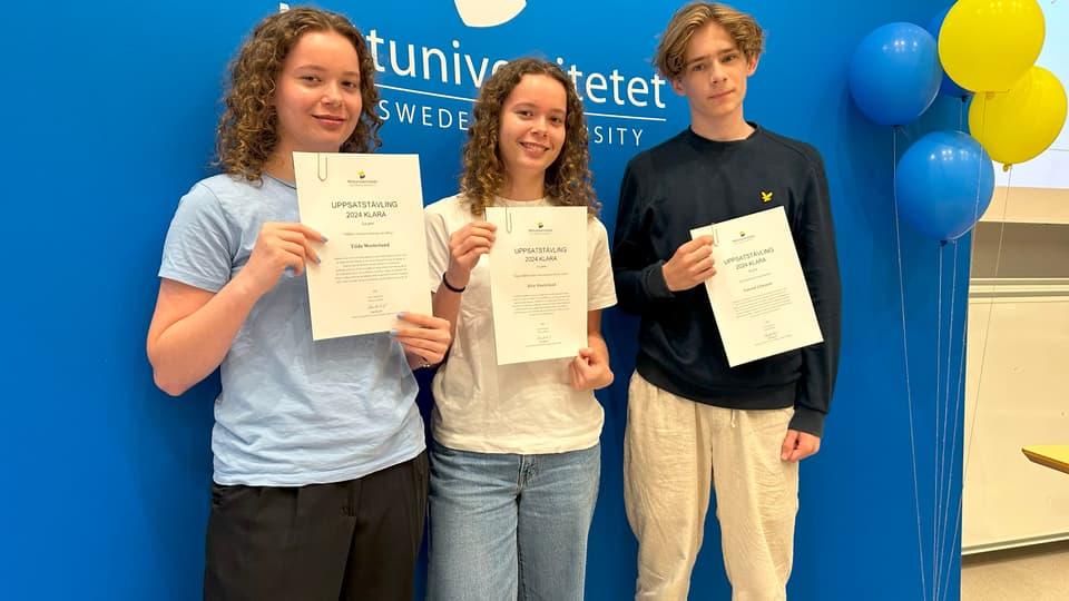 Pristagarna i Mittuniversitetets uppsatstävling ståendes på rad