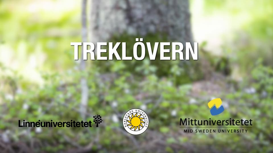 bild med text Treklövern med en gräsmatta och trädstam i bakgrunder, tre logotyper i botten av bilden: Linneuniversitetet, Karlstaduniversitet, Mittuniversitetet