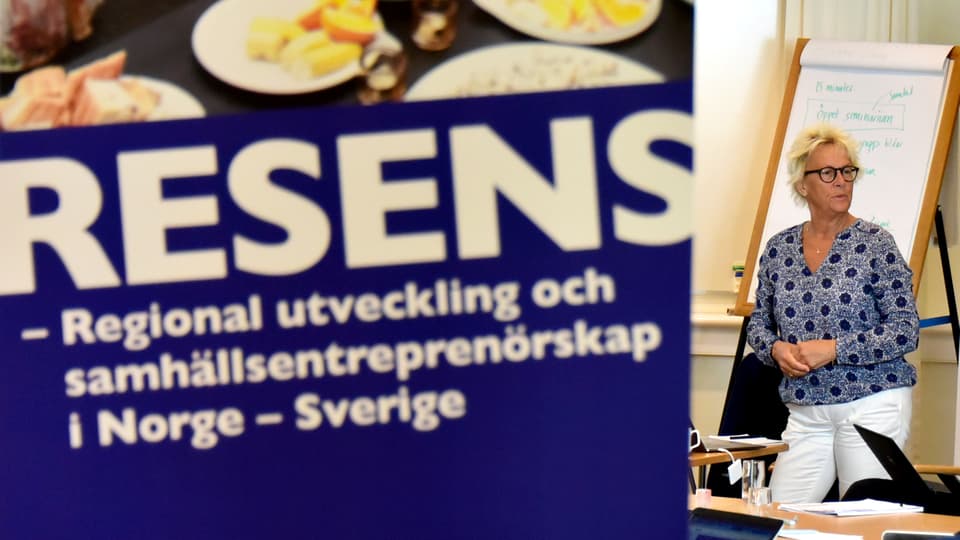 ReSeNS avslutningskonferanse, Yvonne von Friedrichs