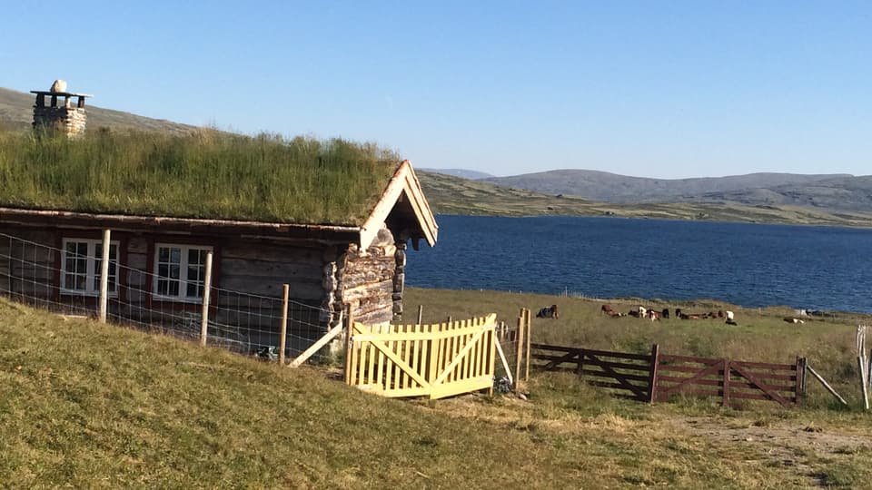 12777414-fjallstuga.jpg