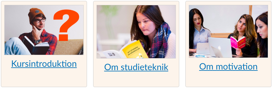 Bilden visar navigationskort med länk, men utan informationstext