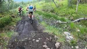 Fyra personer som cyklar på en led i fjällmiljö