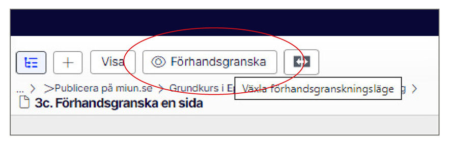 Ikonen för  Växla förhandsgranskningsläge markerad.