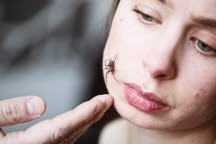 psykologstudenter, behandlingssituation med spindel