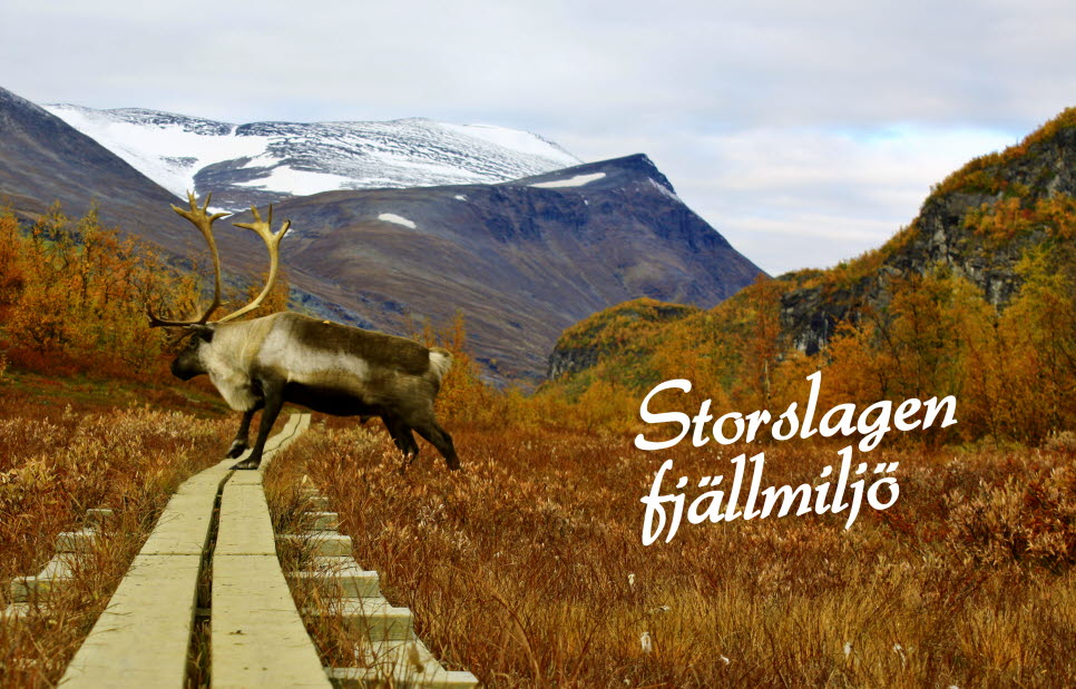 Storslagen Fjällmiljö profilbild