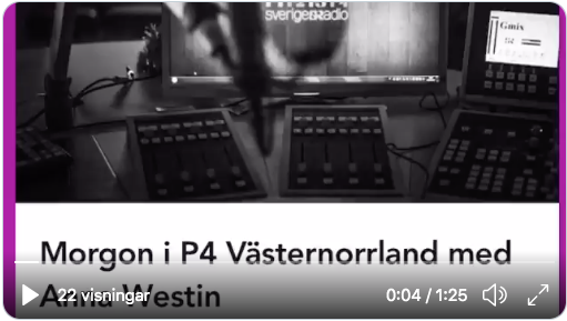 Jul och digitalisering - Intervju i p4