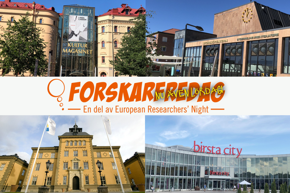 Forskarfredag