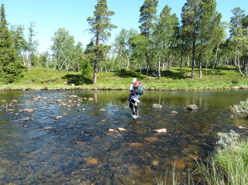 Sommar vandring fjäll turism