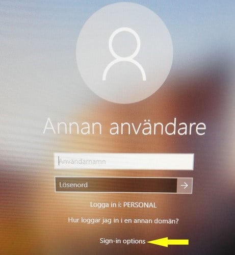 Windows Bild 1