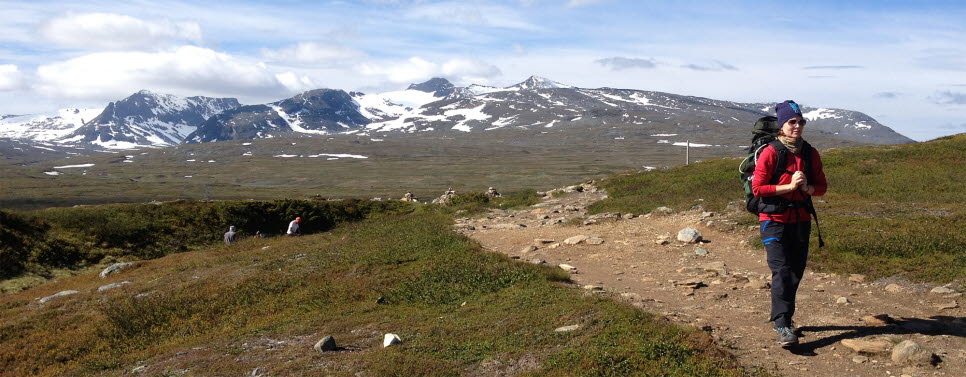 Vandrare på led i Jämtlandsfjällen
