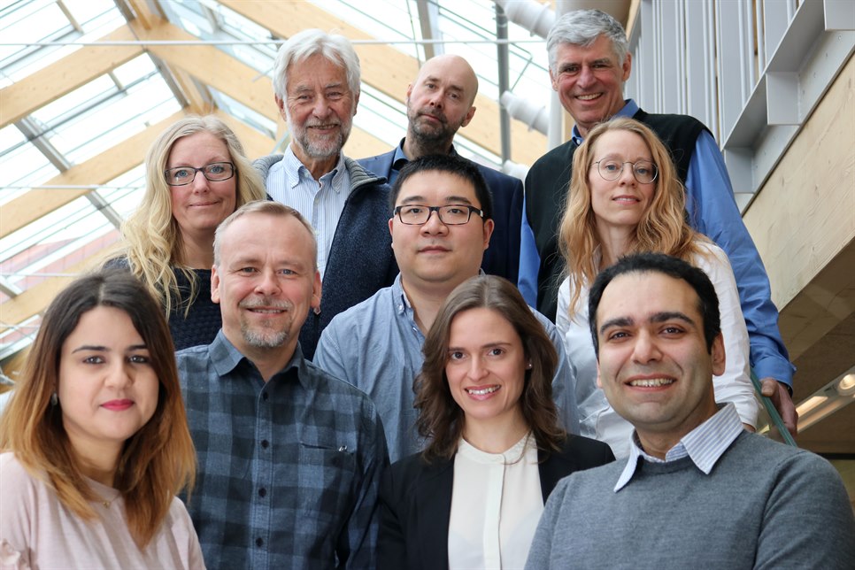 surface and colloid engineering group