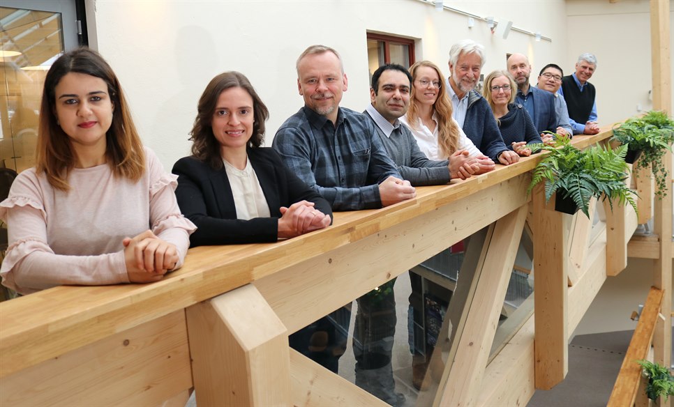surface and colloid engineering group