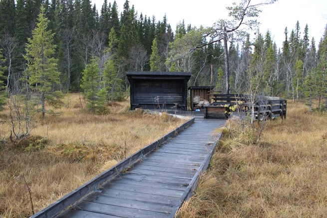 Tillgänglighetsanpassad rastlös vid Vackemyren